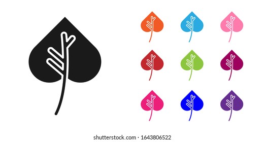 Icono de Hoja negra aislado en fondo blanco. Deja la señal. Símbolo de producto natural fresco. Establecer iconos coloridos.  Ilustración vectorial
