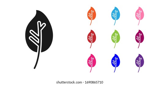 Black Leaf icon isolated on white background. Leaves sign. Fresh natural product symbol. Set icons colorful. Vector Illustration