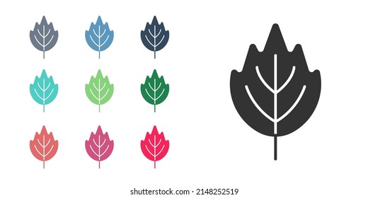 Black Leaf icon isolated on white background. Leaves sign. Fresh natural product symbol. Set icons colorful. Vector