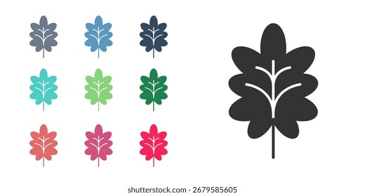 Black Leaf icon isolated on white background. Leaves sign. Fresh natural product symbol. Set icons colorful. Vector