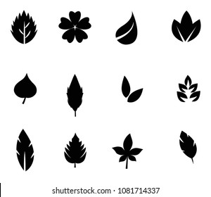 Black  leaf icon  natural set on transparent background. High resolution 