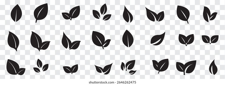 Black Leaf icon set. Eco friendly and bio logo, vegan. Leaves collection. Ecology leaf set. Leaf isolated  on white background. Variety leaves Design. EPS 10.