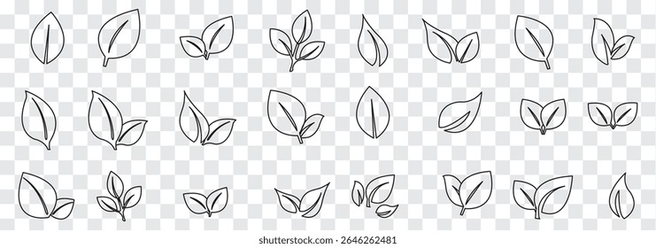 Black Leaf icon set. Eco friendly and bio logo, vegan. Leaves collection. Ecology leaf set. Leaf isolated  on white background. Variety leaves Design. EPS 10.