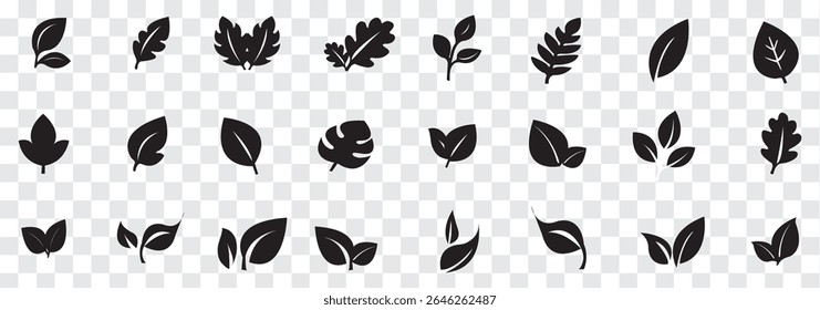 Black Leaf icon set. Eco friendly and bio logo, vegan. Leaves collection. Ecology leaf set. Leaf isolated  on white background. Variety leaves Design. EPS 10.