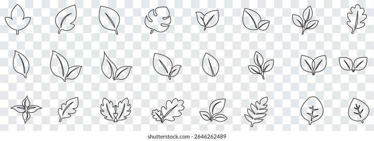 Black Leaf icon set. Eco friendly and bio logo, vegan. Leaves collection. Ecology leaf set. Leaf isolated  on white background. Variety leaves Design. EPS 10.