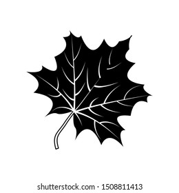 black leaf icon vector design, autumn symbol design.