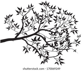 black leaf isolated on white background
