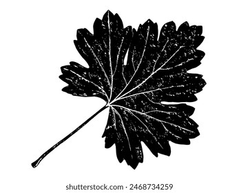 Black leaf realistic texture overlay isolated on white background. Dark stamp with foliage, old, grunge, grainy, vintage, worn, dust effect. Abstract leaves macro. Plant pattern closeup. Vector EPS 10