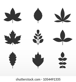 Black leaf set. Growth symbol icon. Vector illustration.