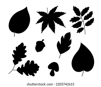 Black leaf silhouette in modern style. Vector isolated set. Organic beauty, natural concept.