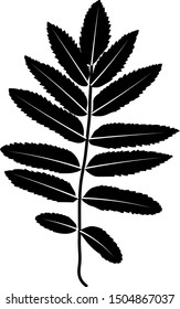 Black leaf silhouette on white background