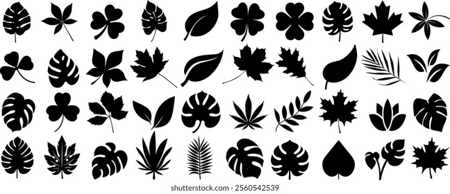 Black leaf silhouette vector collection, featuring various styles like maple, monstera, palm, clover, and oak leaves. Ideal leaves for nature themed designs, decorations, and botanical patterns