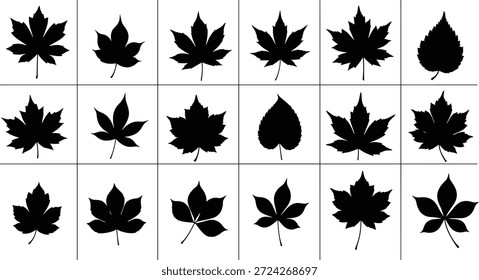 Siluetas de hojas negras en diversas Formas botánicas, Ilustración vectorial de formas de follaje, Elementos de diseño de la naturaleza, íconos de Identificación de plantas