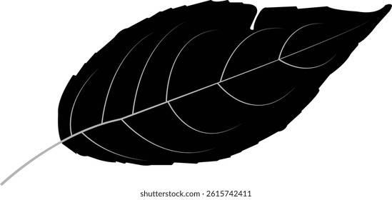 Black leaf silhouettes ecology icon, leaf isolated on transparent background environment Nature Symbol Vector illustration.