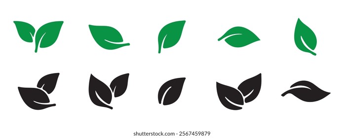 Black leaf vector. Leaves of trees and plants, Leaves icon Collection. Natural, eco, bio. Vector illustration EPS 10