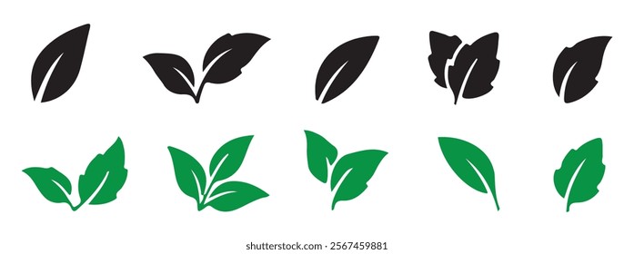 Black leaf vector. Leaves of trees and plants, Leaves icon Collection. Natural, eco, bio. Vector illustration EPS 10