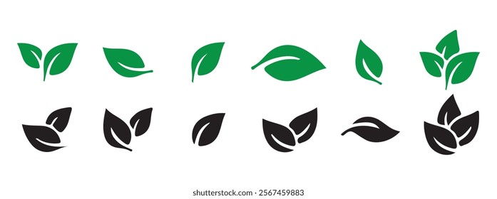 Black leaf vector. Leaves of trees and plants, Leaves icon Collection. Natural, eco, bio. Vector illustration EPS 10