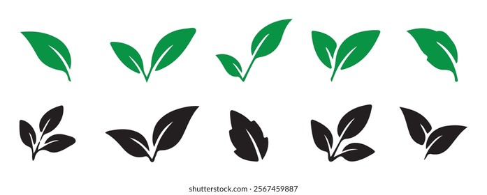 Black leaf vector. Leaves of trees and plants, Leaves icon Collection. Natural, eco, bio. Vector illustration EPS 10