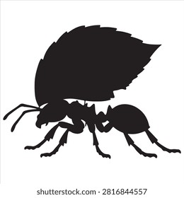 A black leafcutter silhouette vector style illustration
