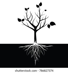 Black leafy tree with roots With trees isolated from white background. svg