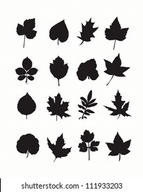 black leaves