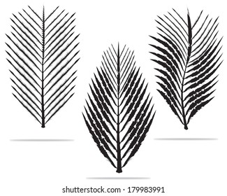 black leaves
