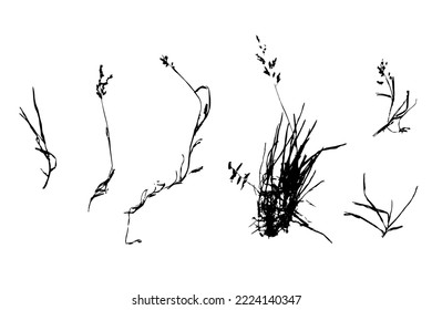 Black leaves. Abstract  grunge vector background.