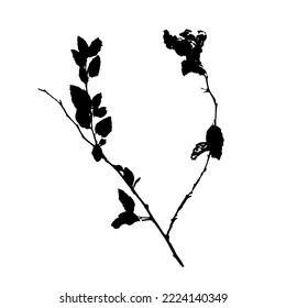 Black leaves. Abstract  grunge vector background.