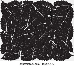 black leaves background