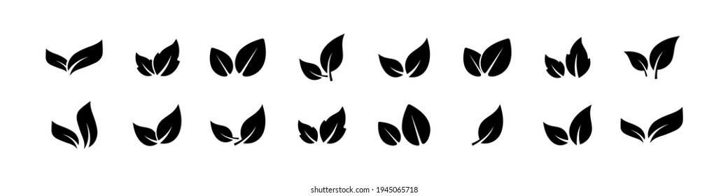 Black leaves icon set isolated on white background. Eco leaves. Eco, bio sign logo.  Health care. Nature art. Vegeterian and vegan signs and sumbols. Different leaves shapes. Vector graphic. EPS 10