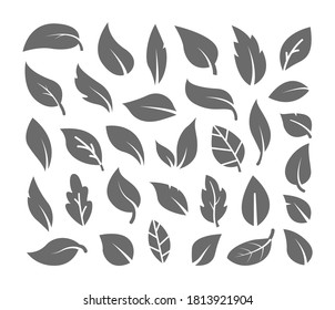 Black leaves icons on white background. Leaves icon different shapes in modern flat style.