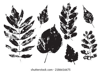 Las hojas negras se imprimen en fondo blanco. Silhouette de hojas textiles de caída Ilustración vectorial