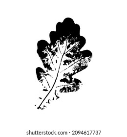 black leaves imprints on white background. Hand drawn floral elements. vector foliage stamp