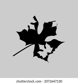 black leaves with the leaf pattern itself