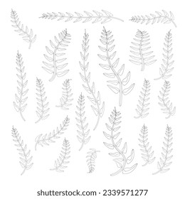 Colección vectorial de arte de las hojas negras. Ilustración del contorno de hoja. Elementos decorativos dibujados a mano. Conjunto de hojas. Diseño de elementos botánicos