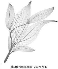 Black leaves made with lines, isolated on white, vector illustration