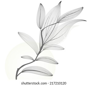 Black leaves made with lines, isolated on white, vector illustration