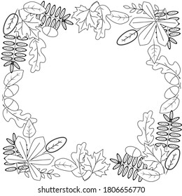 Black leaves on white background. Acorns, oak tree, maple leaves. Monochrome doodle leaf print. Fall background, Thanksgiving, Seasonal print, November