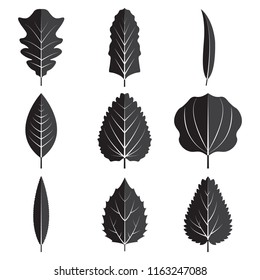 Black leaves set icon vector design illustration. 