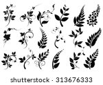 Black  leaves silhouettes  on white background