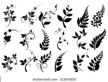 Black  leaves silhouettes  on white background