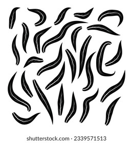 Black leaves vector collection. Leaf silhouette illustration. Hand drawn decorative elements. Set of leaves. Botanical elements design
