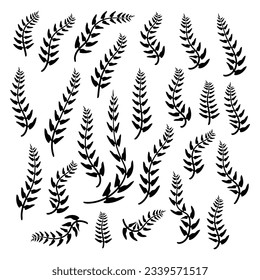 Black leaves vector collection. Leaf silhouette illustration. Hand drawn decorative elements. Set of leaves. Botanical elements design