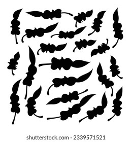 Colección vectorial de hojas negras. Ilustración de silueta de hoja. Elementos decorativos dibujados a mano. Conjunto de hojas. Diseño de elementos botánicos