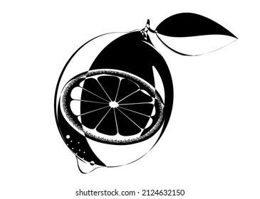 Black lemon isolated on white background. Vector design element. Illustration for typography.