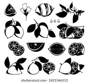 Limones negros. Silueta de dibujos animados de cítricos orgánicos, rodajas de mandarina de tinta y ramas para el diseño impreso. Concepto de vector alimentario saludable. Deliciosos ingredientes para el jugo de bebidas y alimentos