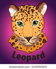 Black leopard head of animal living in nature with a print texture of the skin