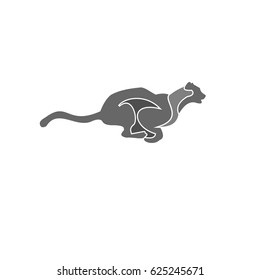Black leopard runs. Panther attacks.