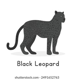 Black leopard vector illustration, cartoon clipart character, animal in flat style. Wild animals, wild creatures, wildlife concept. Black panther vector design isolated on white background