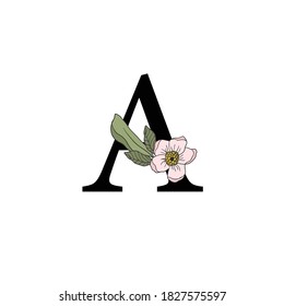 Black A letter of the alphabet with vintage flowers. Pink roses, leaves, twigs. Isolated dark A font on a white background. Floral wedding font typographic illustration. Perfect for logo branding
